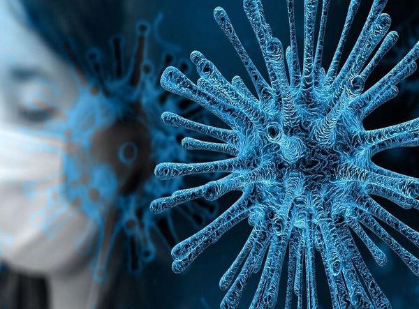 MSC Noticias - Coronavirus-Enfermedades OM Comunicación Salud 
