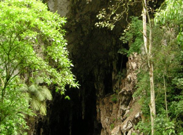 MSC Noticias - Vista-de-la-Cueva-del-Guacharo-Venezuela.-750x430-1 Tal Dia Como Hoy 