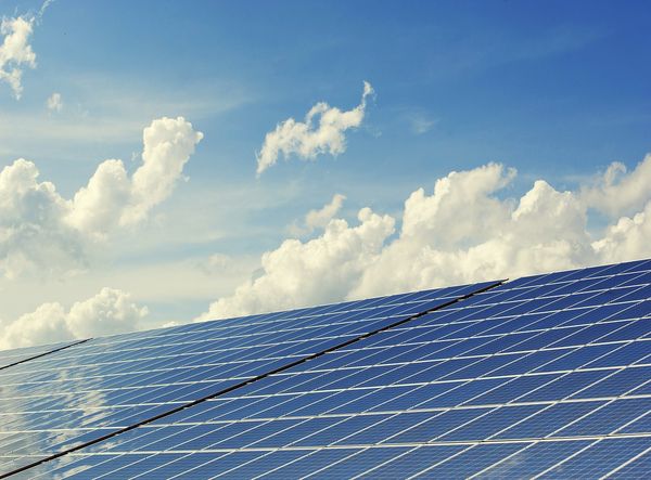MSC Noticias - paneles-solares Negocios y Emprendimiento 