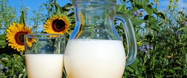 El Poder Nutricional de la Leche: Celebrando el Día Mundial de la Leche